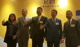 飞鹤最新爆料新闻消息,揭秘乳业巨头背后的真相与挑战